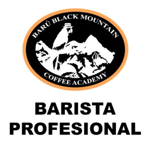 Cafetera AeroPress  Barú Black Mountain